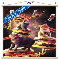 Джеймс Букър - Галактически лазерни котки на стена на чийзбургери с магнитна рамка, 22.375 34